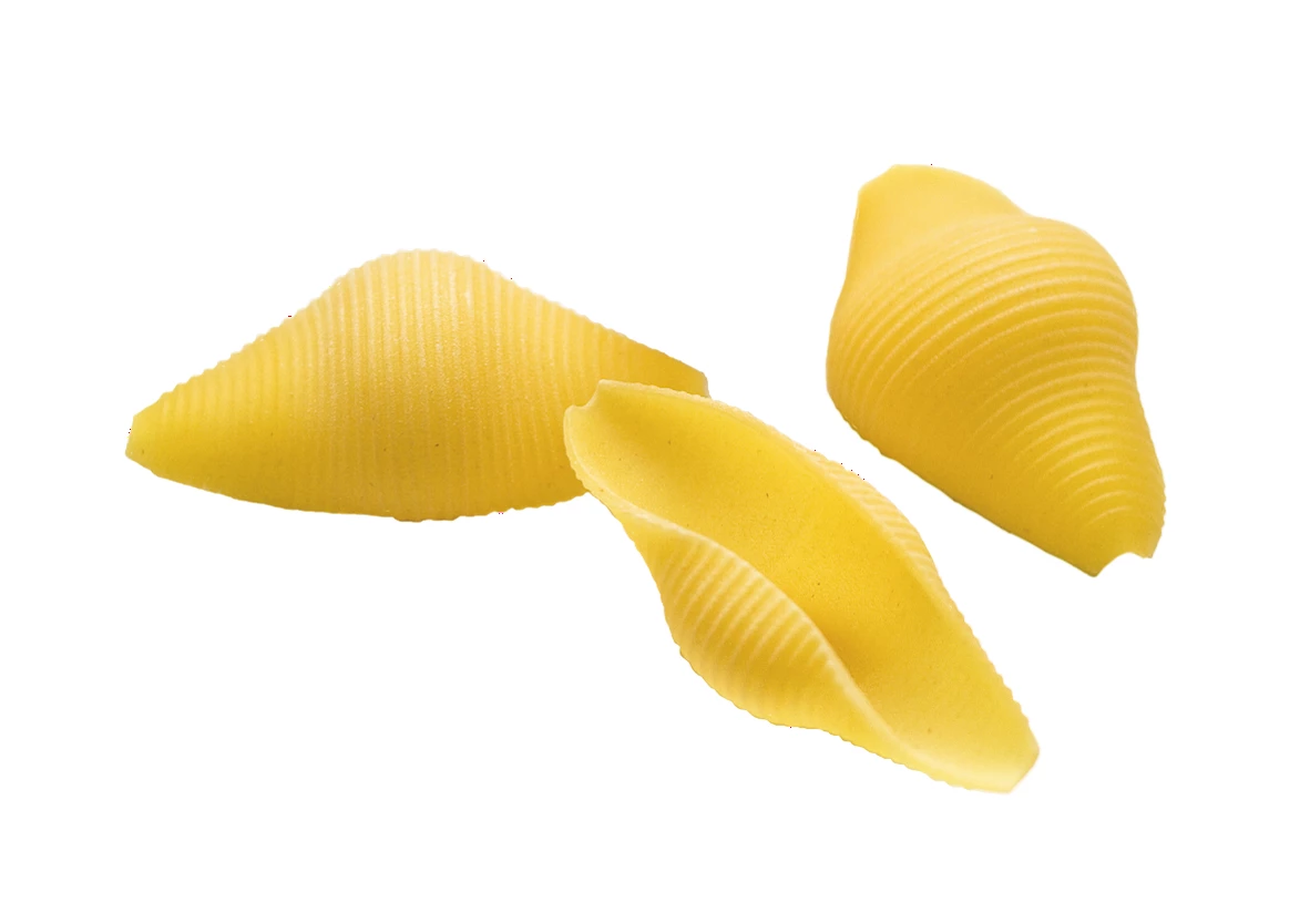 Conchiglioni BIO Matt, Große Muschelnudeln Aus Hartweizengrieß, 500g - Felicetti 4 Conchiglioni BIO Matt, Große Muschelnudeln Aus Hartweizengrieß, 500g - Felicetti - Image 2