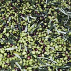 Titelseite -Essen Verkaufsgeschäft phpThumb generated thumbnail 2